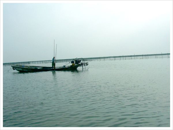 養(yǎng)殖基地